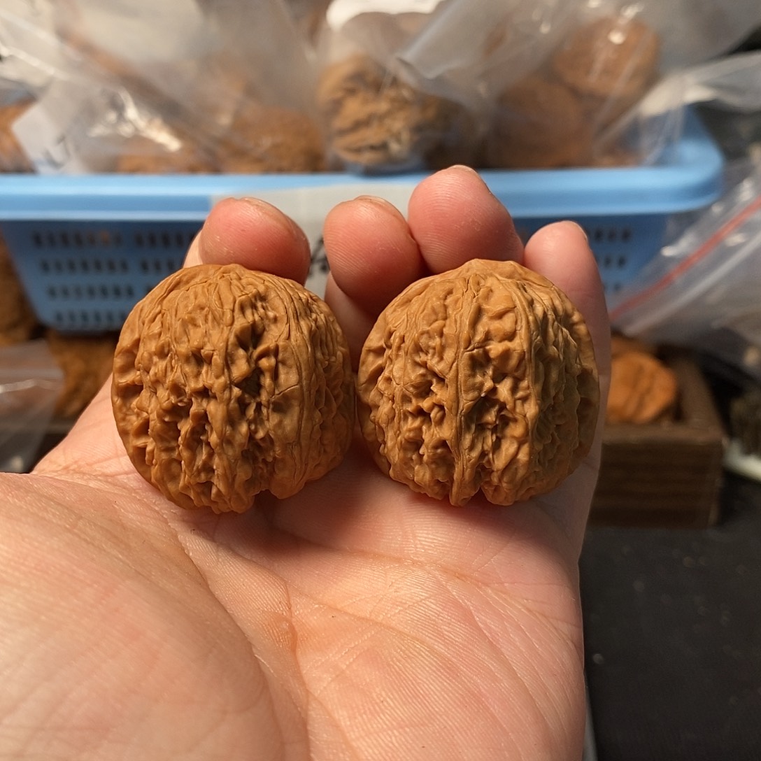 1文玩核桃龙王胆35-353