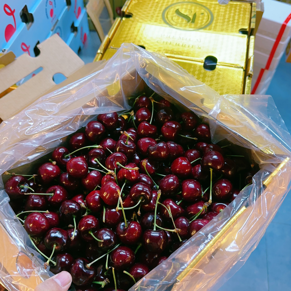 金 8F 空运纯冰车 3JD  智利空运车厘子整箱 5 斤品质超好 内附果径卡 智利