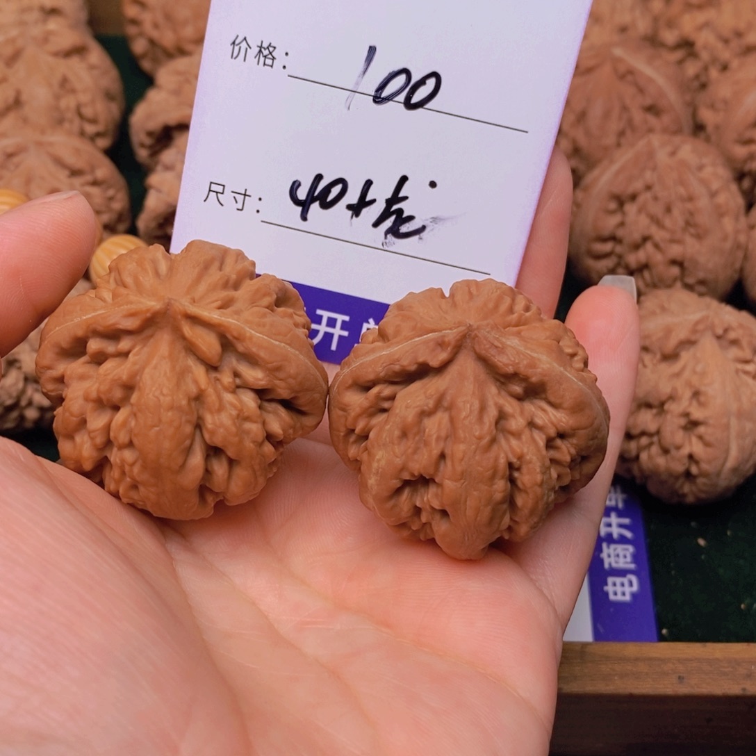 文玩核桃霸王龙核桃