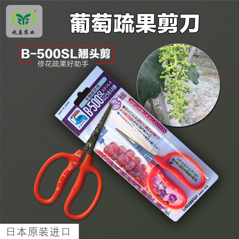 葡萄疏果挑粒剪刀