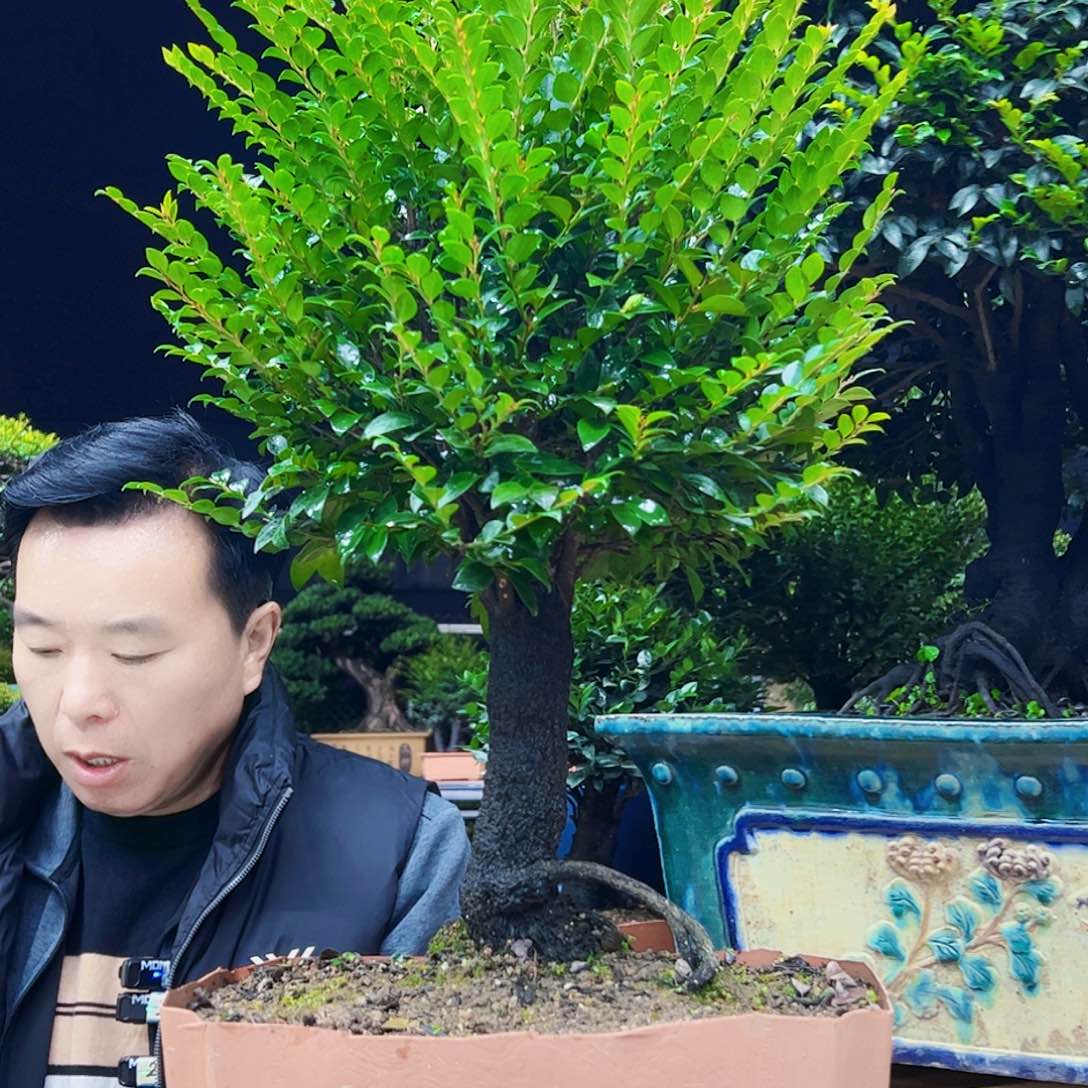 以实际为准用****1123455678