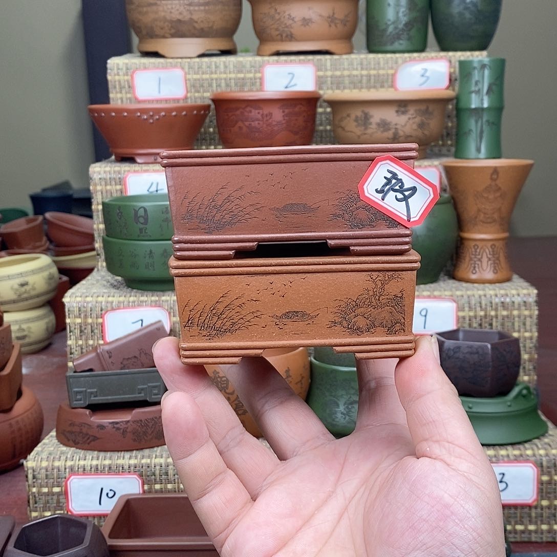 紫砂花盆我在等他