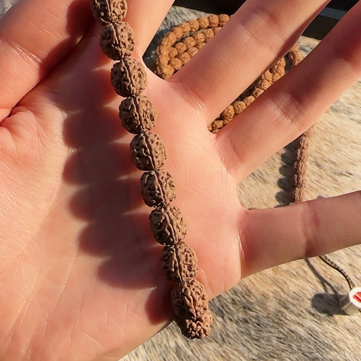 【闪购商品】吊坠金刚菩提保真纯血一代盘龙10x10福利仅此一条