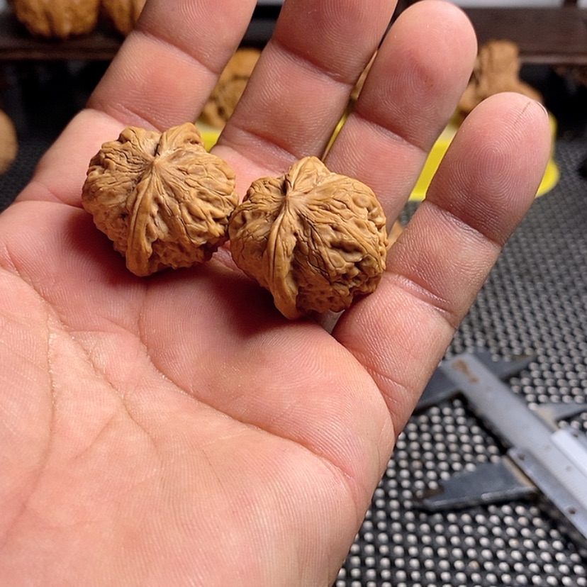 【闪购商品】文玩核桃吊坠T****.精品课程的教学工作