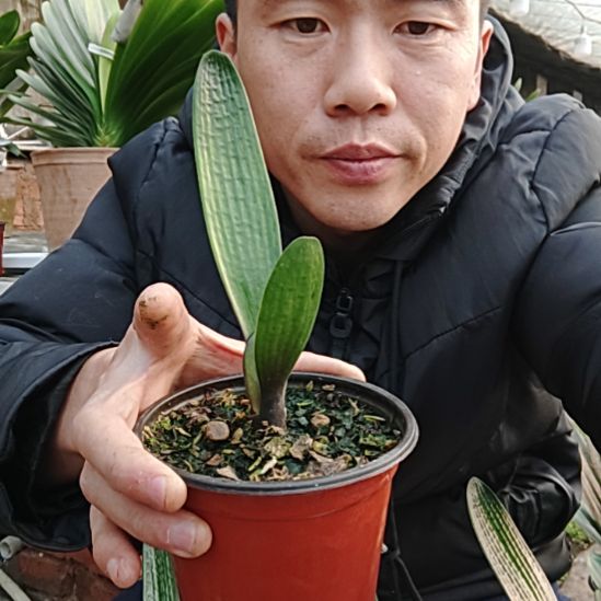 【闪购商品】完全开放