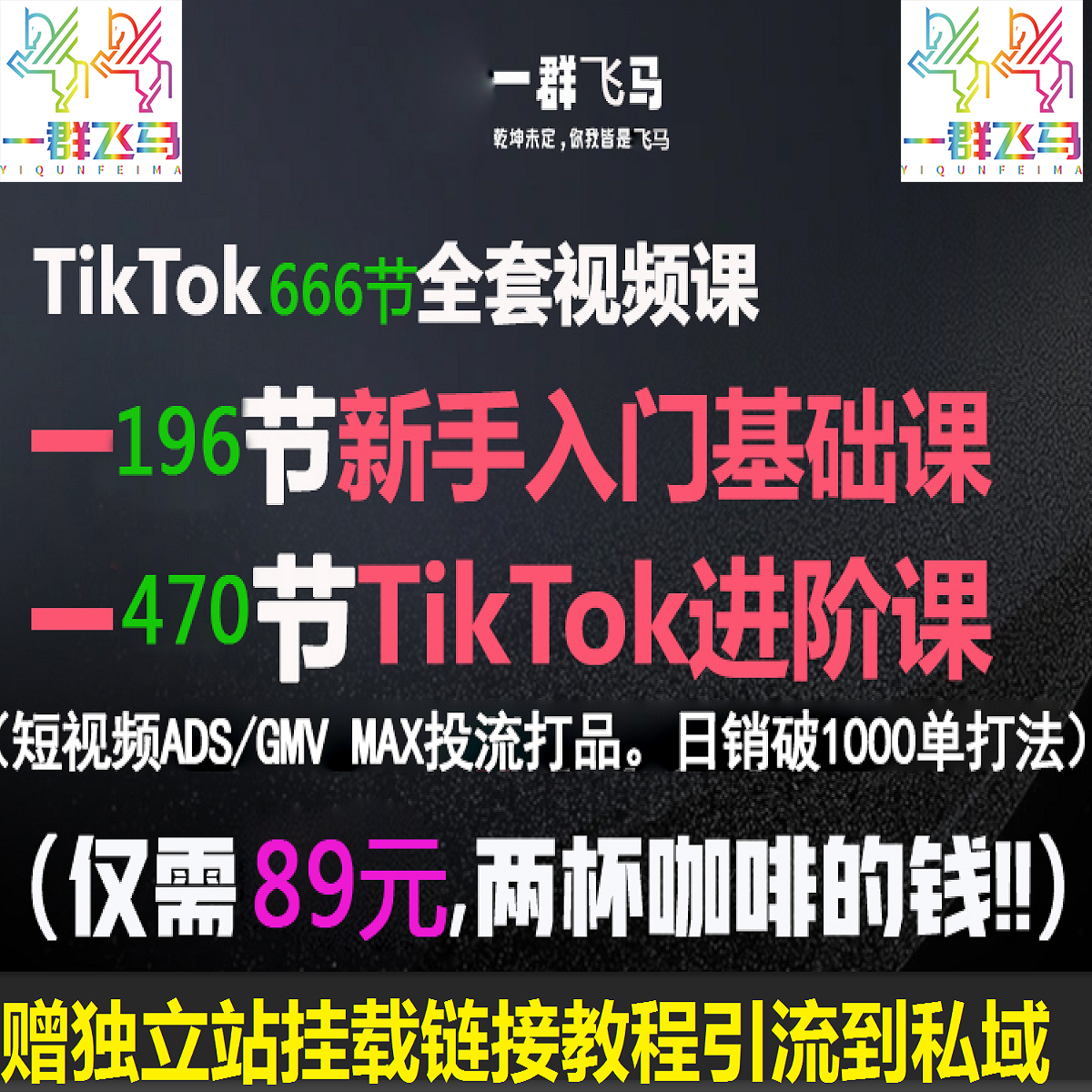 666节TikTok+独立站视频课程新手入门+老手进阶课（看短信开课程）