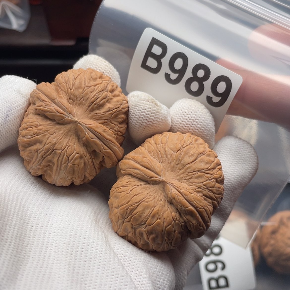 【闪购商品】文玩核桃吊坠B989元宝43全品微水尖