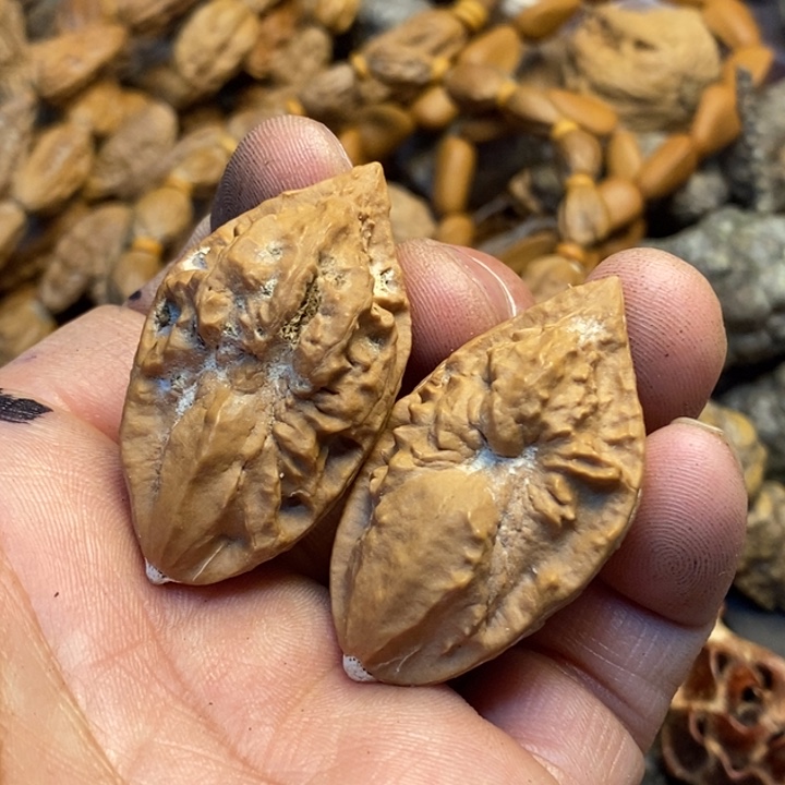 桃核吊坠娜姐真的83