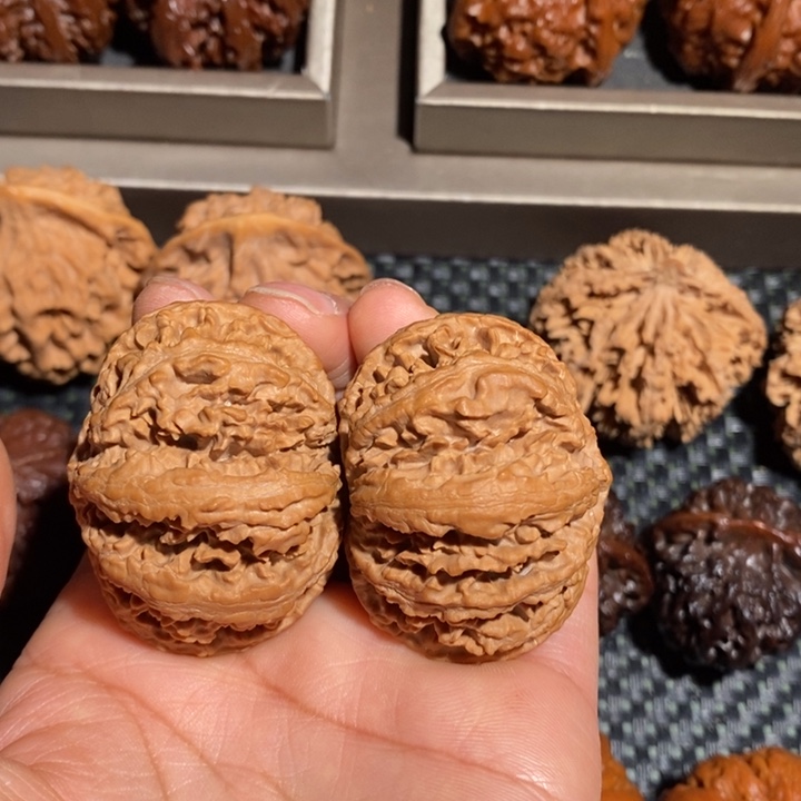 把件文玩核桃晨*文玩1