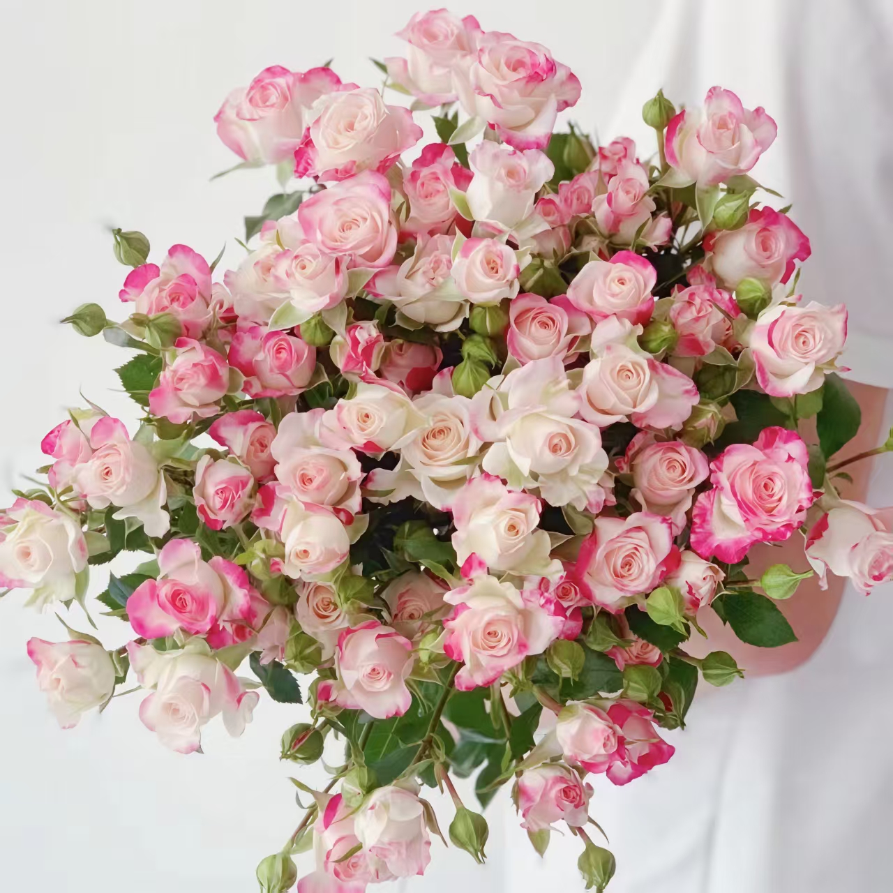 折射多头泡泡玫瑰鲜花花束基地直发可水培用于客厅装饰