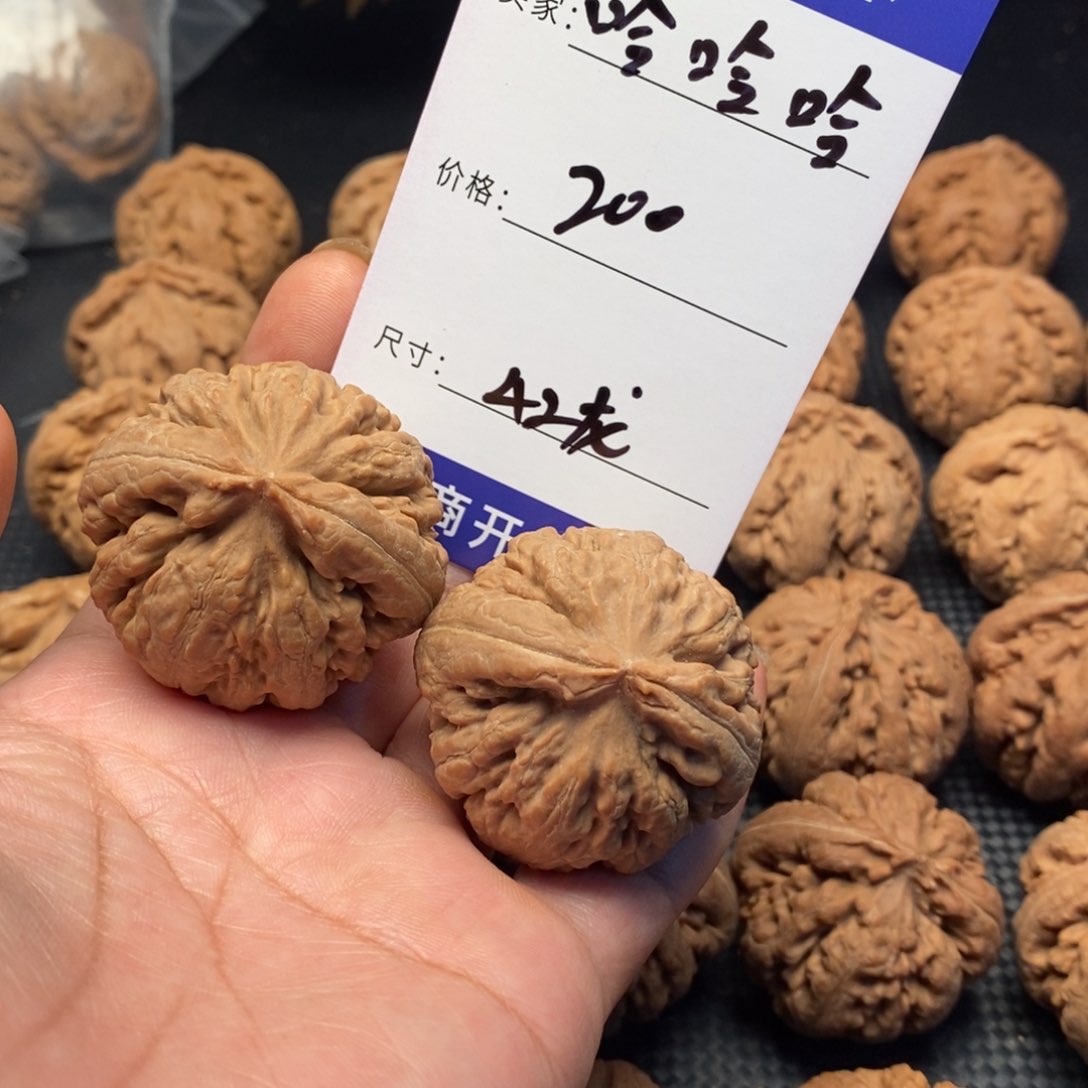 哈****好文玩核桃霸王龙42