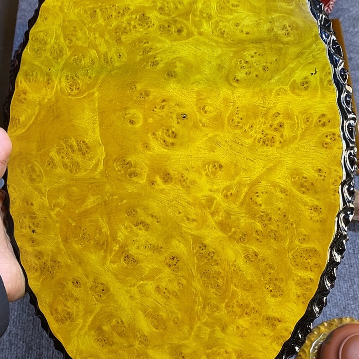 黄金樟特价不退换40 27 2