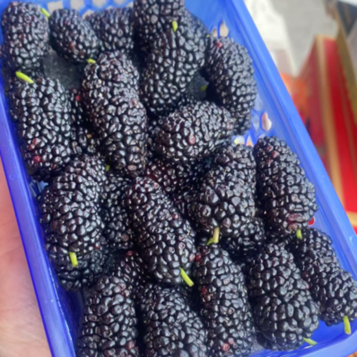 【小时达】精品大桑葚一盒（酸甜口，非纯甜口）
