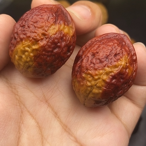 文玩核桃把件36尺蟒纹龙蛋