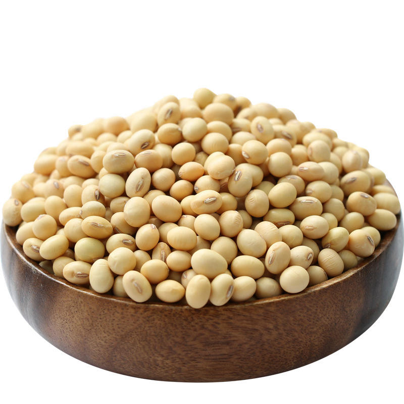 黄豆新豆山东大豆家用老品种土黄豆干黄豆豆腐豆浆炖菜