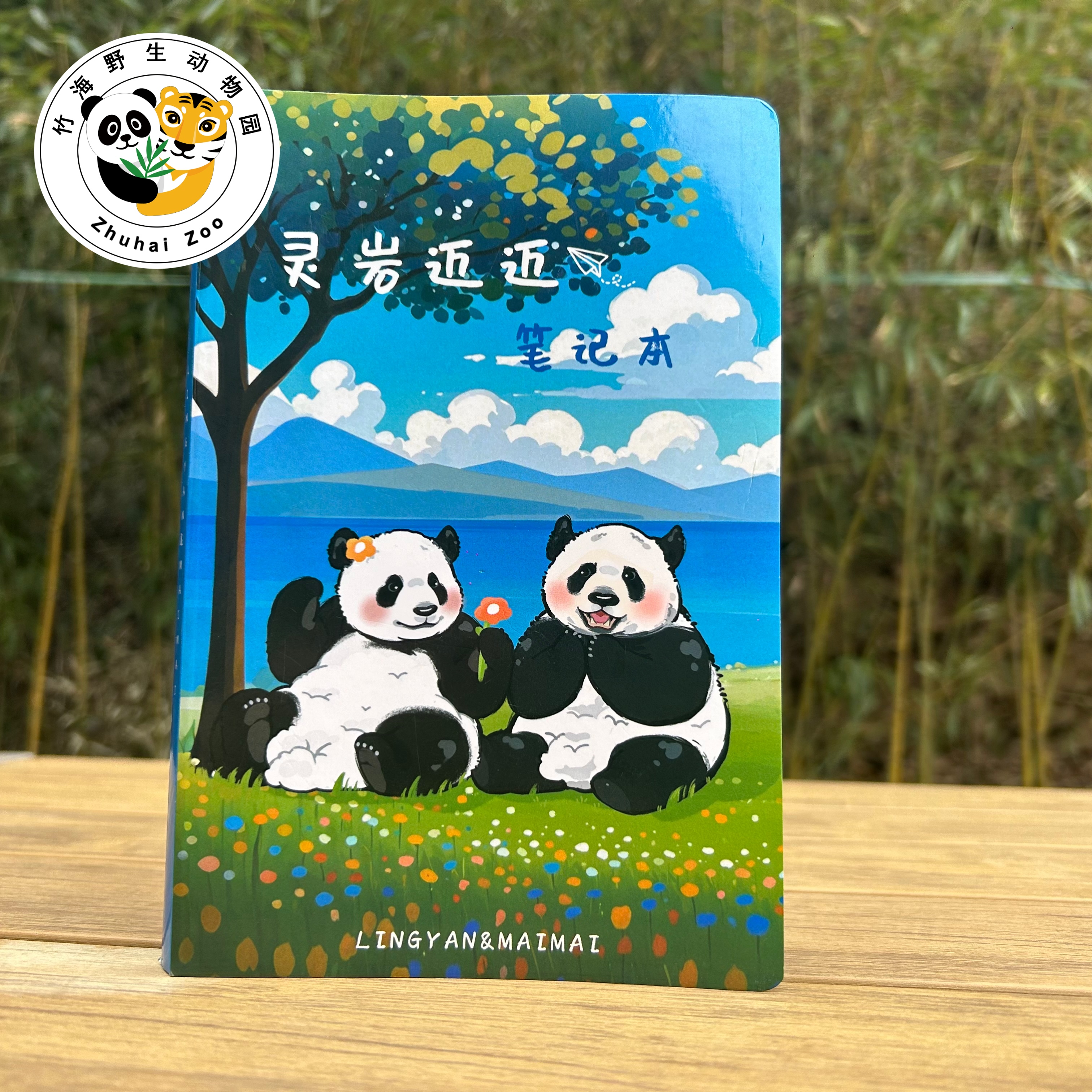 【灵岩迈迈笔记本】笔记本本子高颜值手账本开学文具学生日记本子