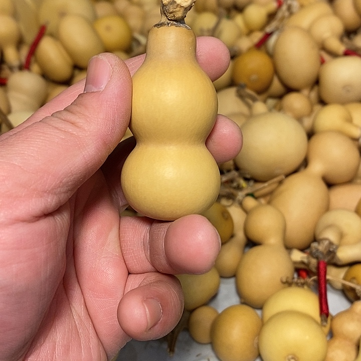 明****精品葫芦手把葫芦81