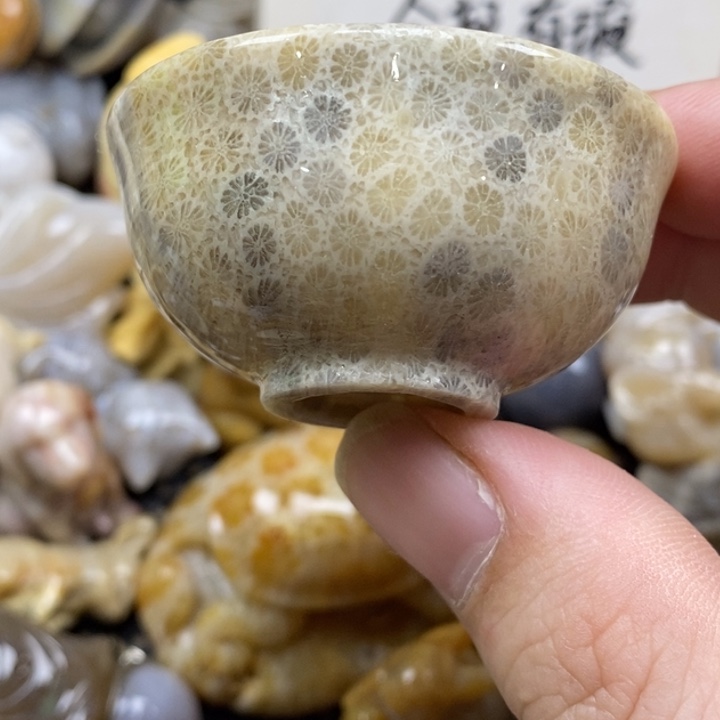 硅化珊瑚（珊瑚玉）未镶嵌颈饰