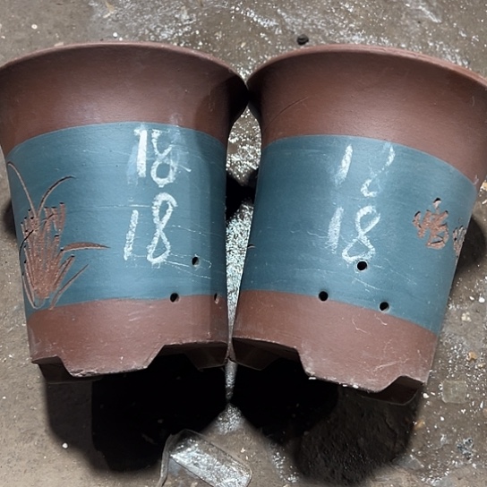 紫砂工艺厂……紫砂工艺厂……