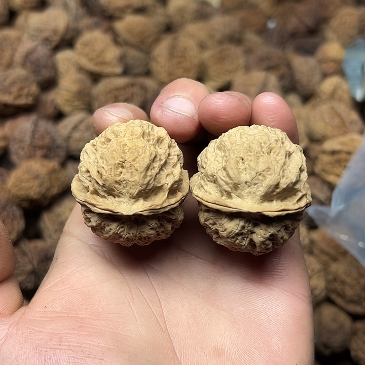 文玩核桃把件4号星陨蟾40尺