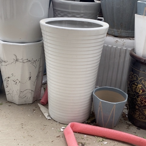 高腰白螺旋纹大号