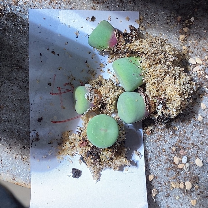 于***英4344。   一组。         