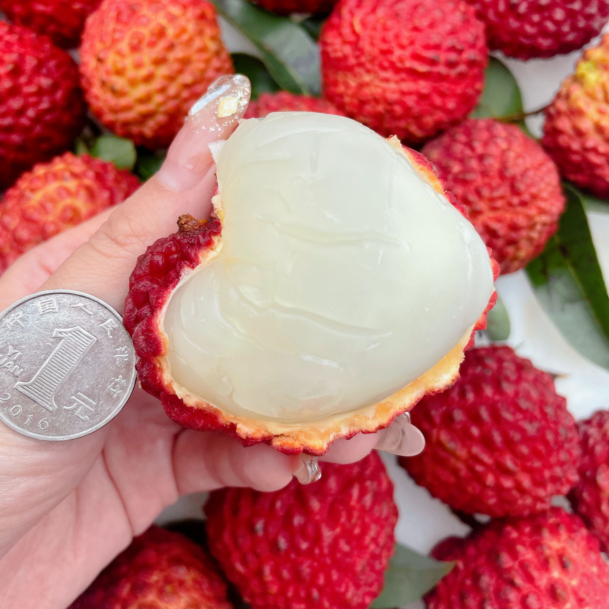 【甜甜粉丝专属】海南空运荔枝王 肉厚饱满 口口满足 2斤·3斤·5斤荔枝同城送新鲜