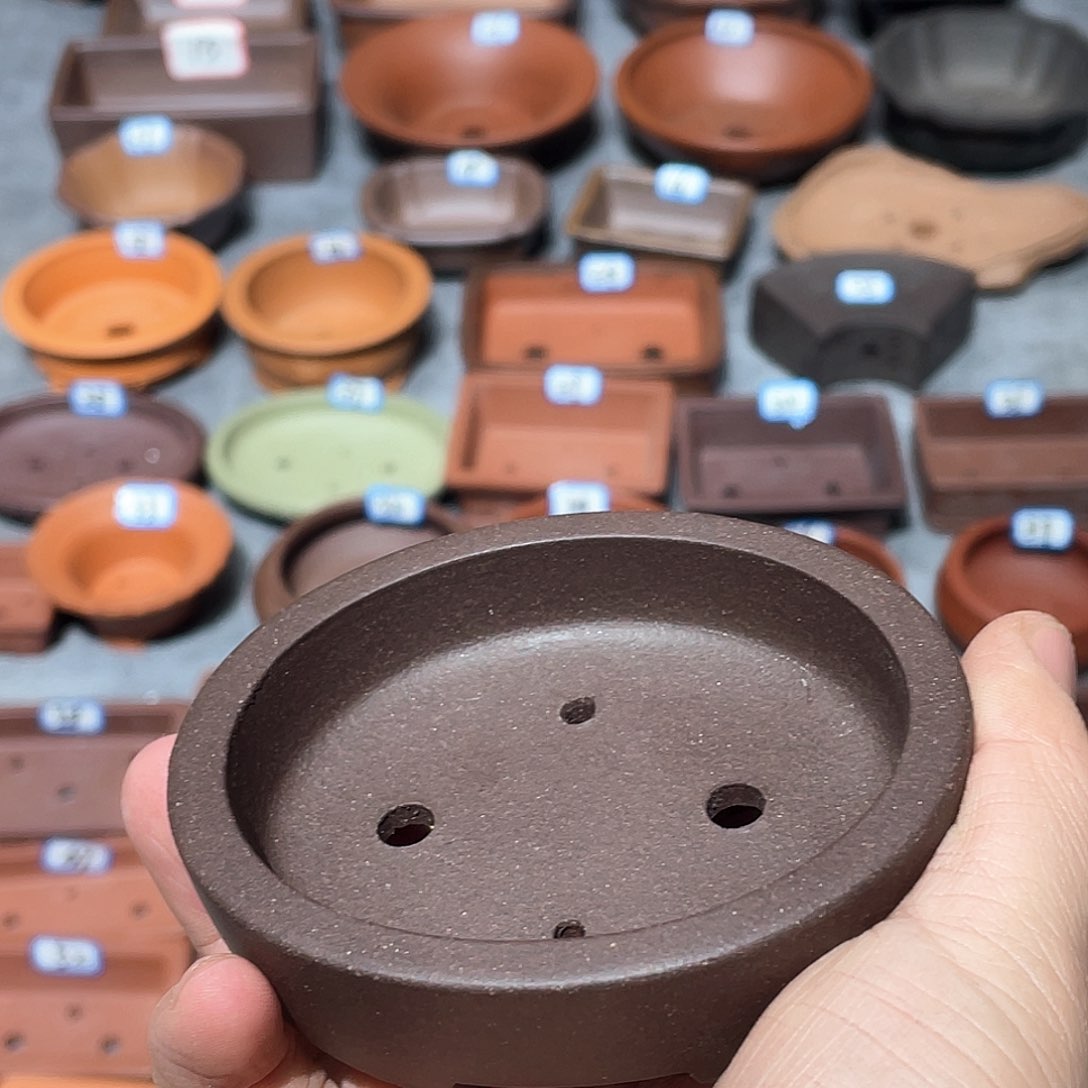 紫砂紫砂小盆8*7*1.5