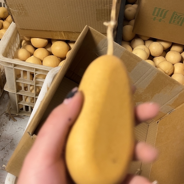 冬瓜漂亮响籽厚皮