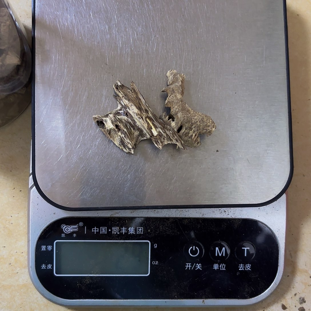 沉香沉香碎屑夏海南鸡母虫2.5克