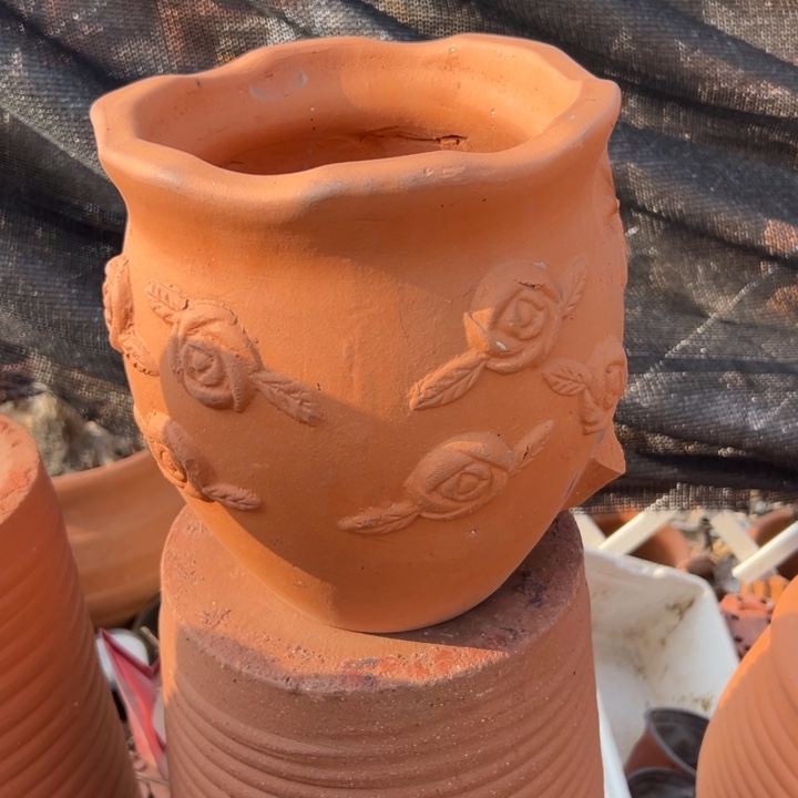 大***尤22×24 掉耳朵一个