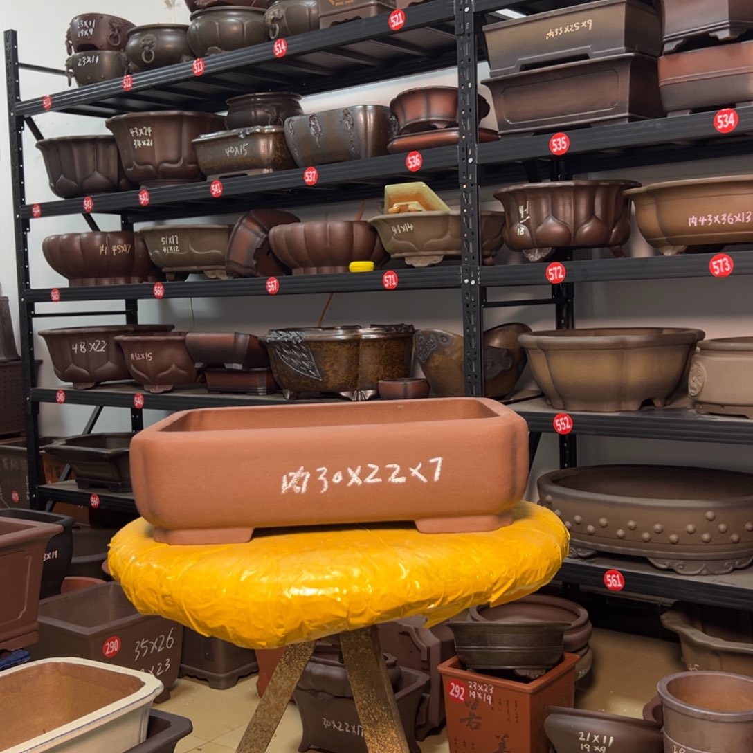 紫砂花盆呜呜呜呜呜