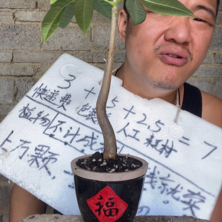 退款拉黑一物一拍60