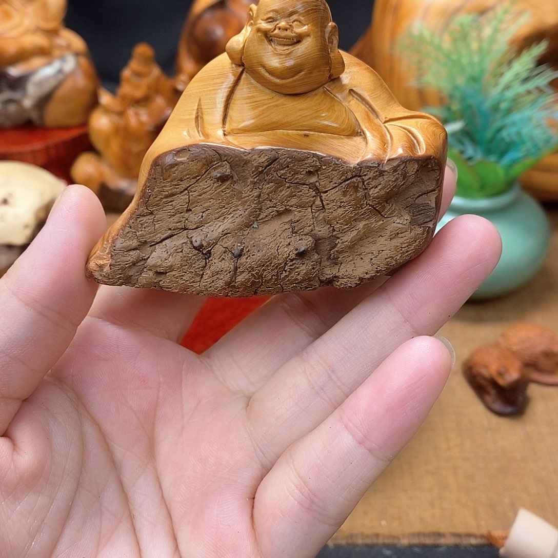 柏木（崖柏）一物一图