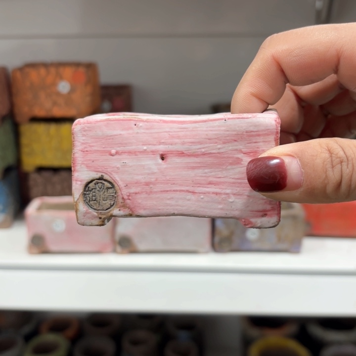 红陶7**忆内扣了我一顿的饭