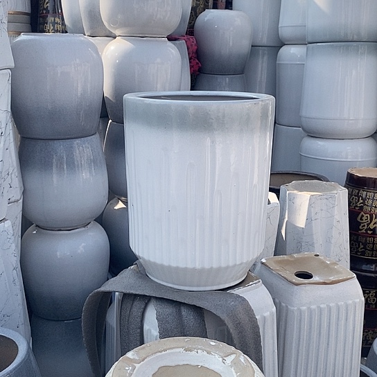 渐变绿音符中口26高33福利