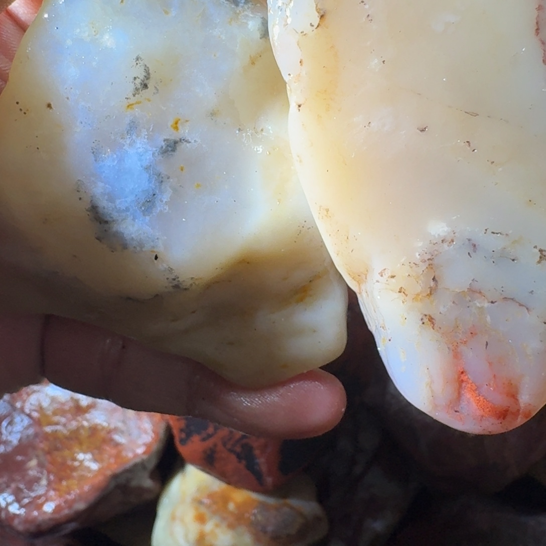 东***学寿山石8998889999