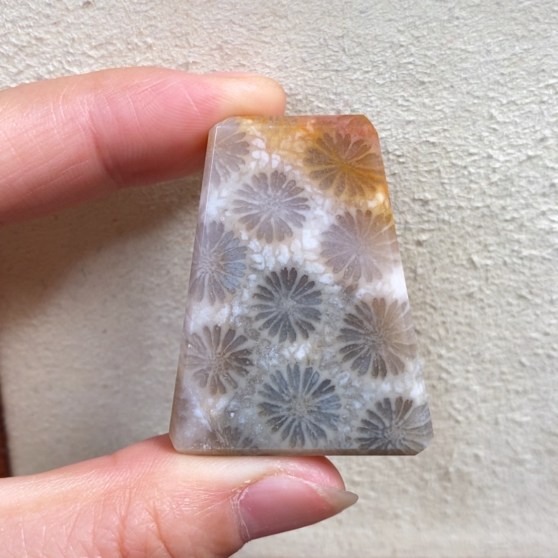 硅化玉未镶嵌吊坠