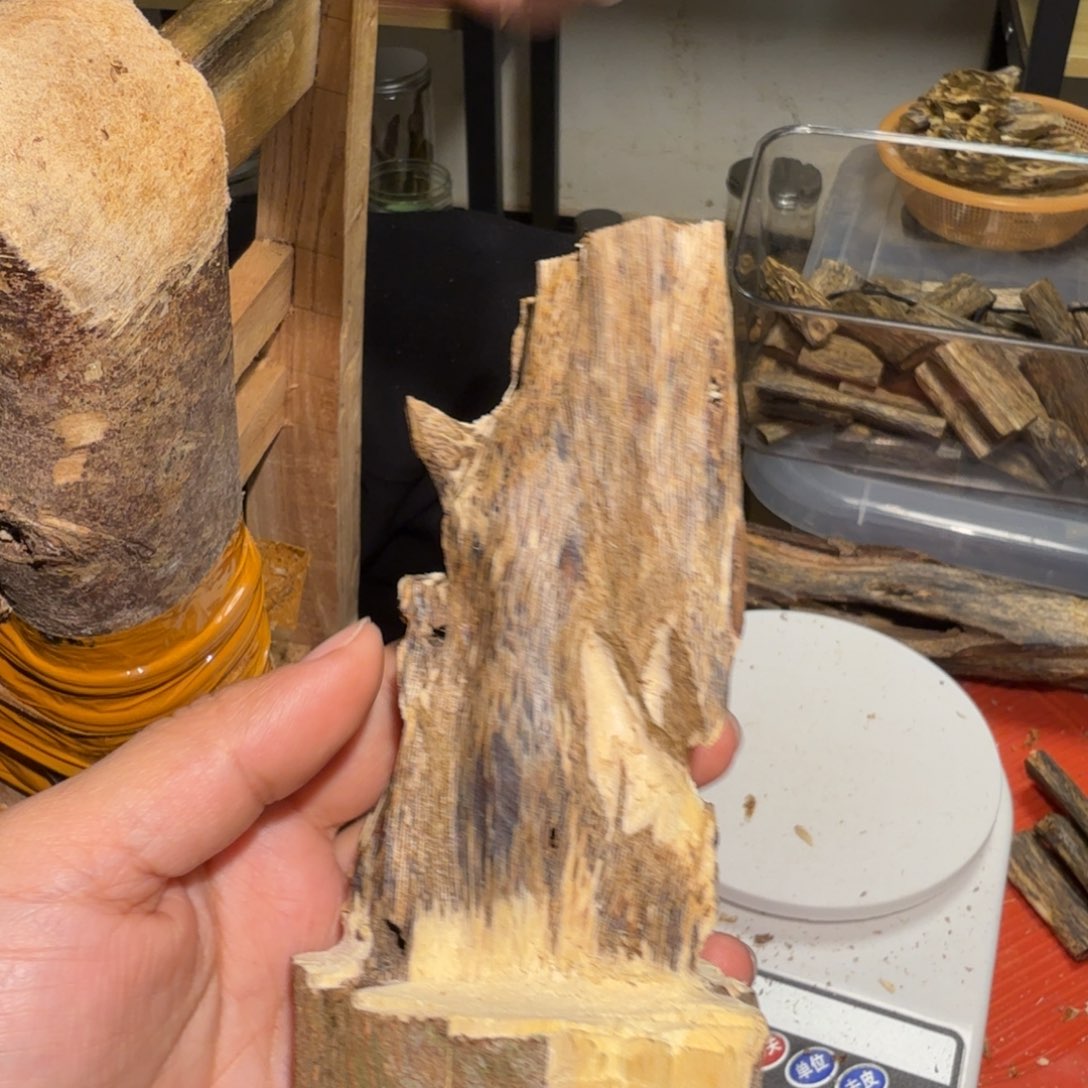 云***天白奇沉香块料沉香