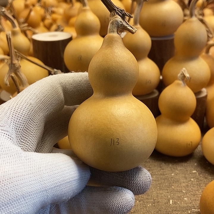 文玩葫芦 完美主义者 慎拍113