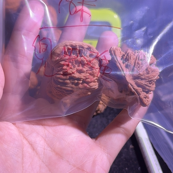 兜***情文玩核桃吊坠46尺寸的楼子差尺