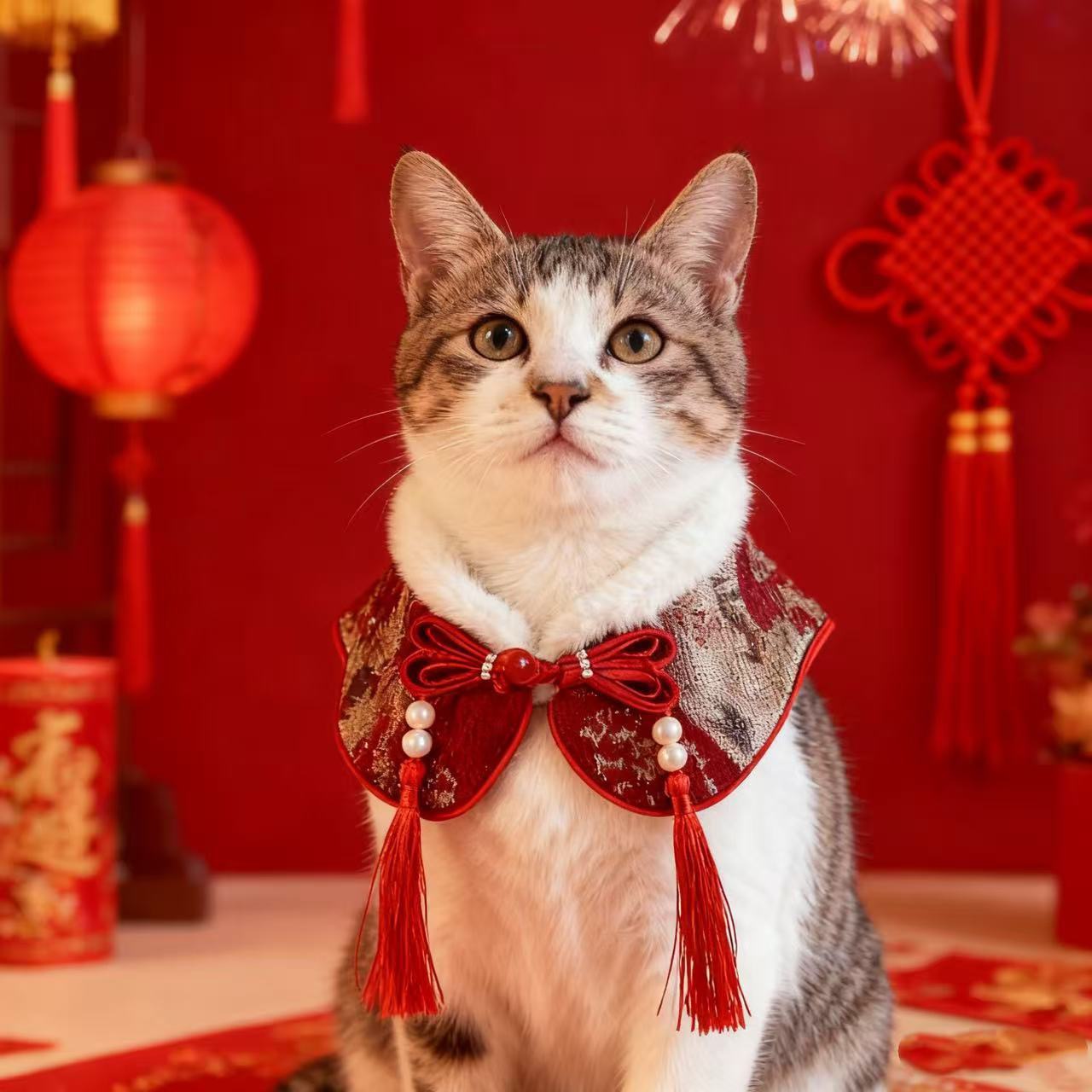 狗狗猫咪小猫新年衣服过年喜庆围脖宠物围兜春节战袍配饰装饰披肩