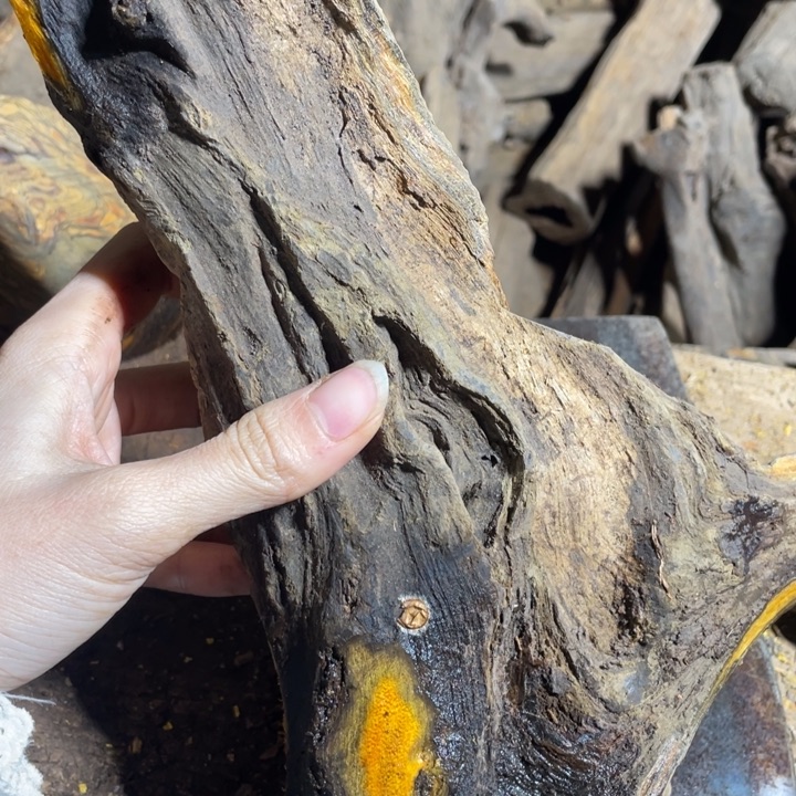 天***猫贡木手串感谢大家