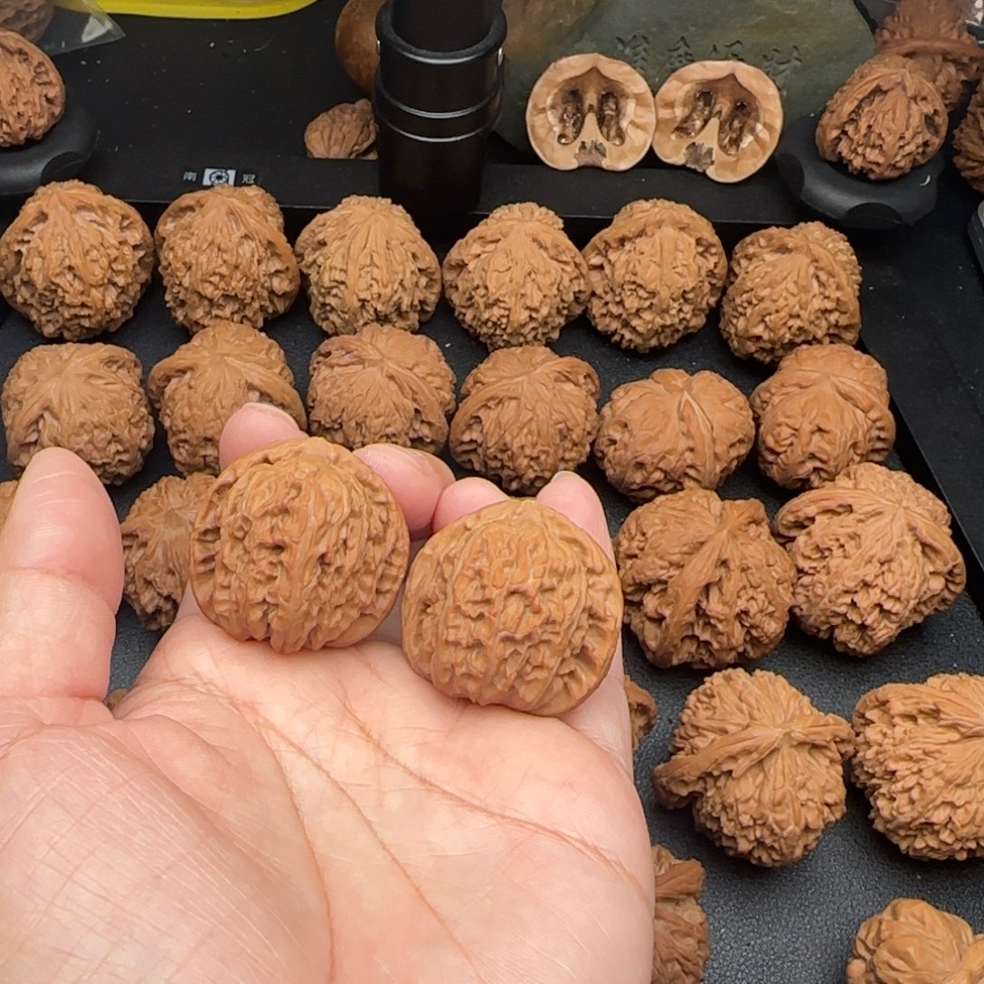 33尺白狮子棱微黄