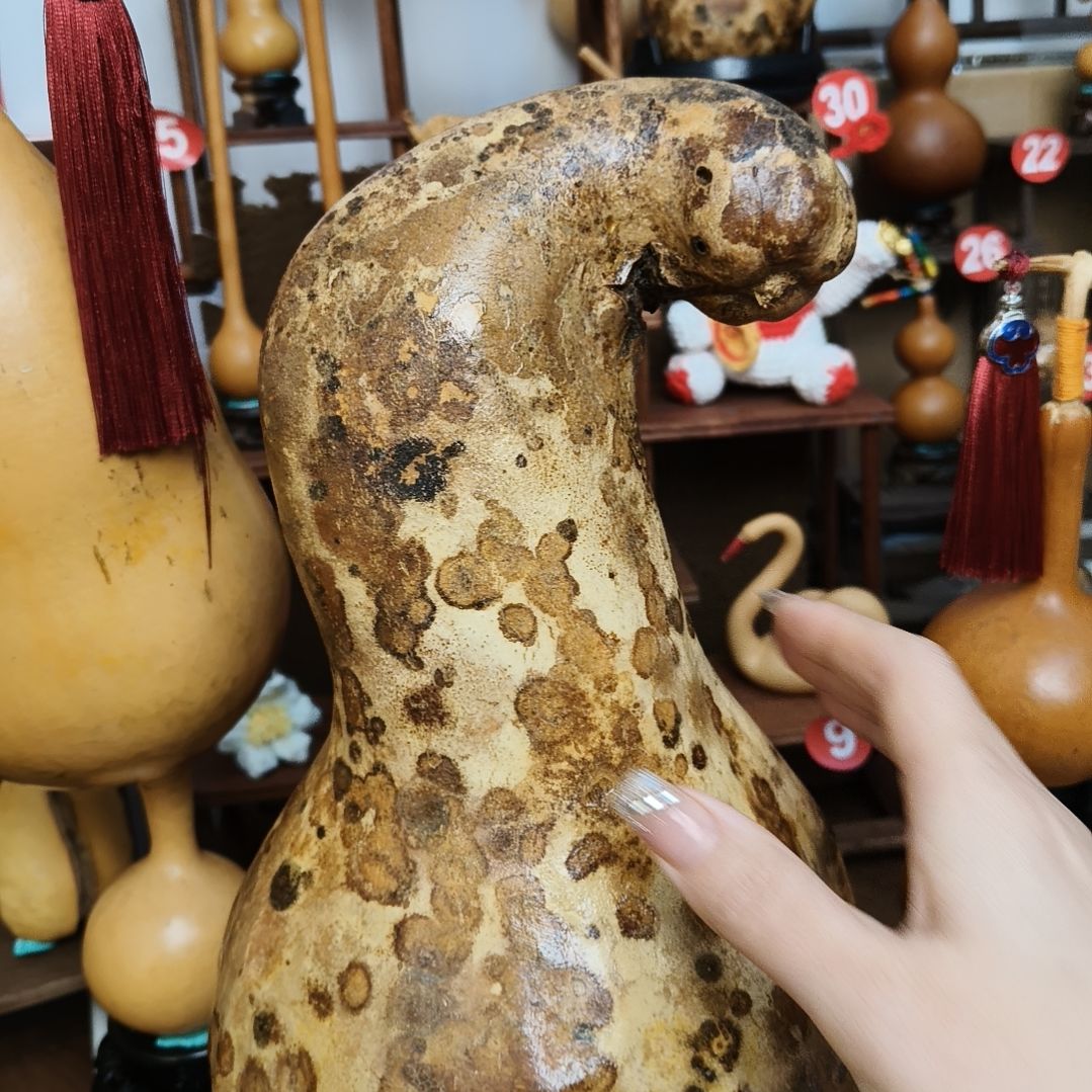 玩***鑫鹦鹉鹦鹉鹦鹉鹦鹉