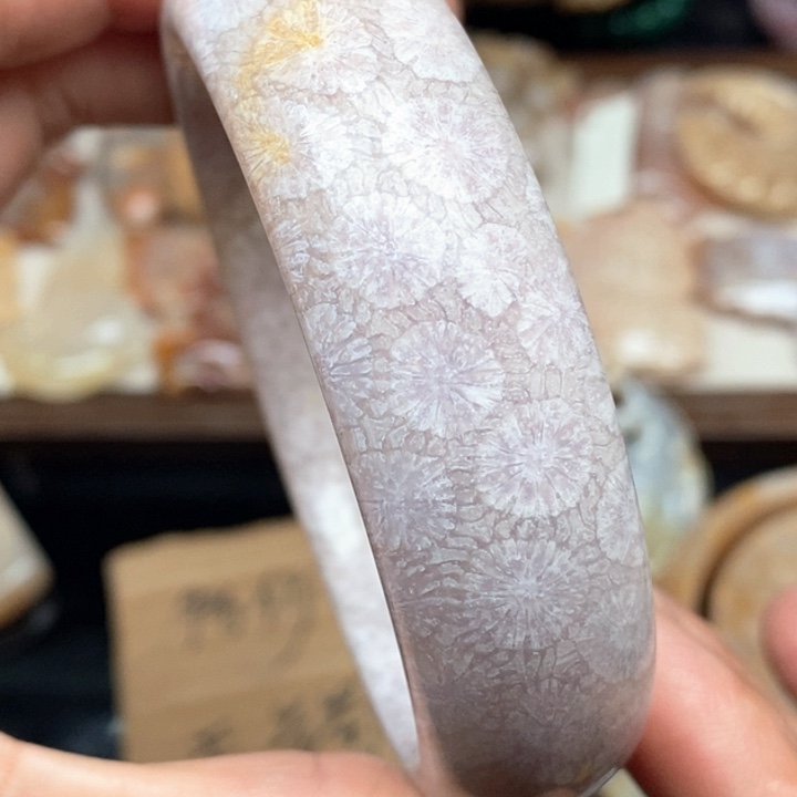 硅化珊瑚（珊瑚玉）手镯未镶嵌61.5