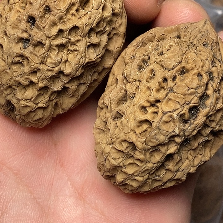 文玩核桃把件云南铁核桃11