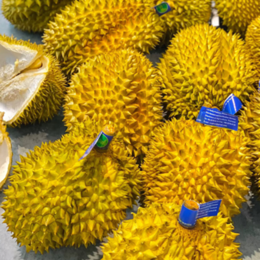 榴莲小时达鲜榴莲（3.87斤）金枕核小金枕泰国