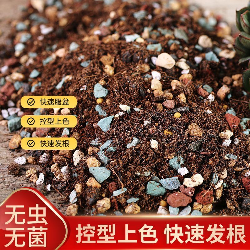 50%多肉营养颗粒专用土种植栽培土养花通用型泥炭植物花土铺面石