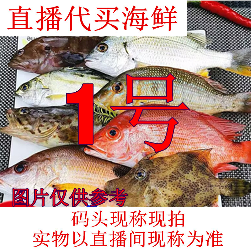 1号北海码头直播代买鱼虾贝类海捕生鲜（现拍现称 速冻锁鲜发货）